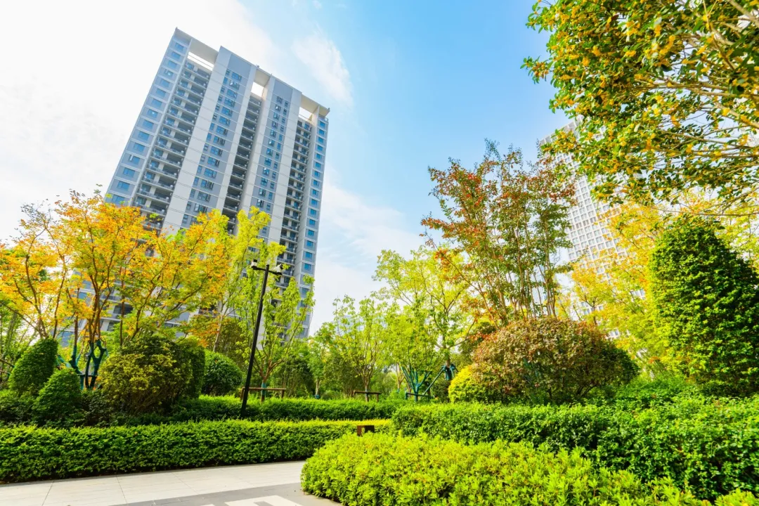 bevictor伟德官网 - 韦德官方网站