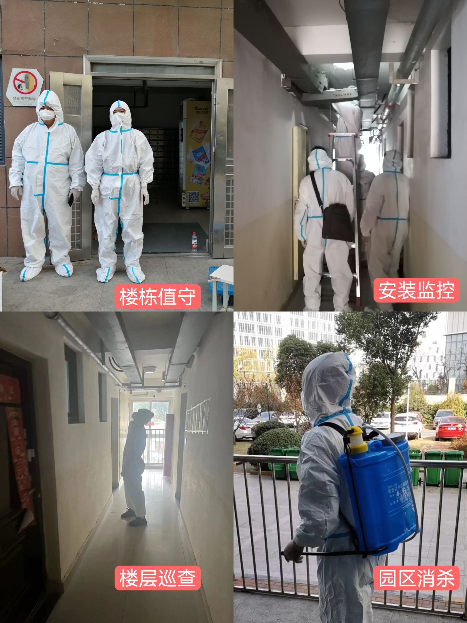 bevictor伟德官网 - 韦德官方网站